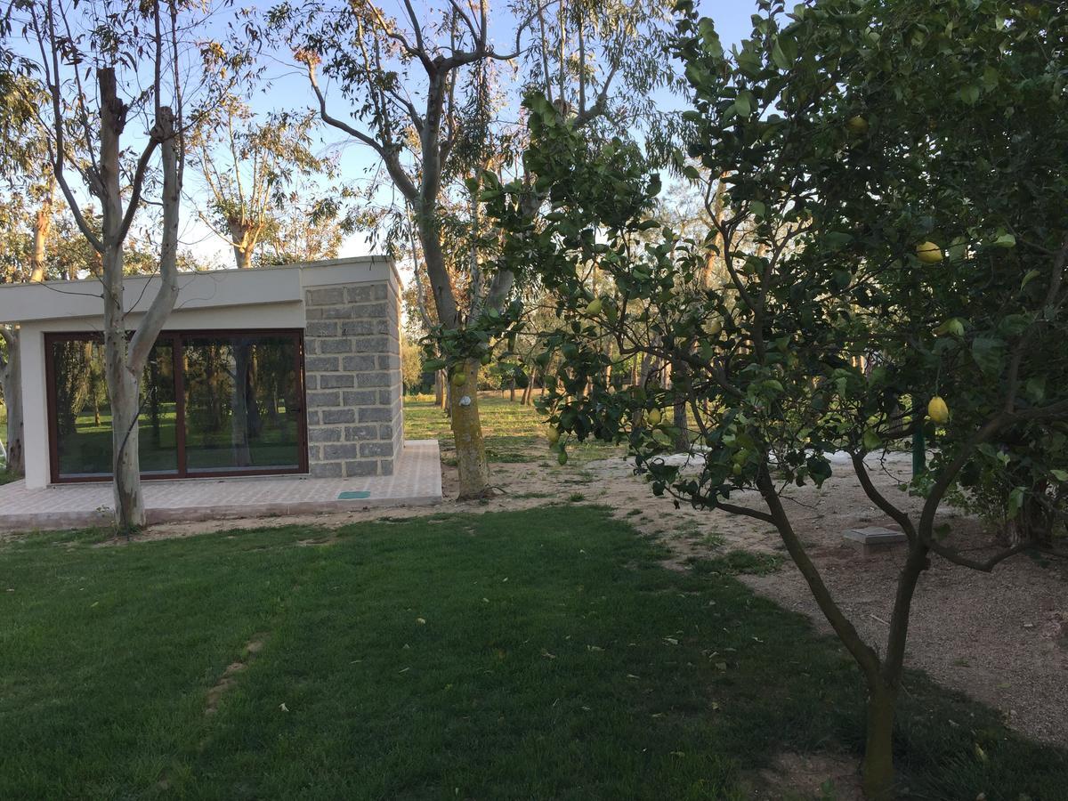 Tenuta Monaci La Murra Carmiano  Exteriér fotografie